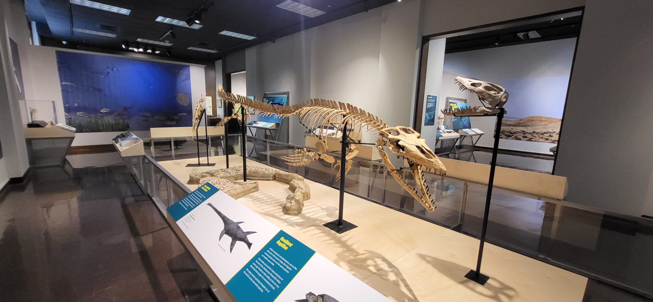 “Eat Like a Dinosaur” Week Brings Prehistoric Fun — and Flavor — to Bossier-Shreveport